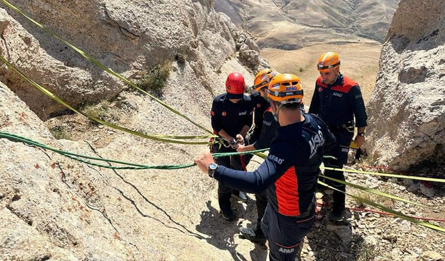 Van'da keçi kurtarma operasyonu