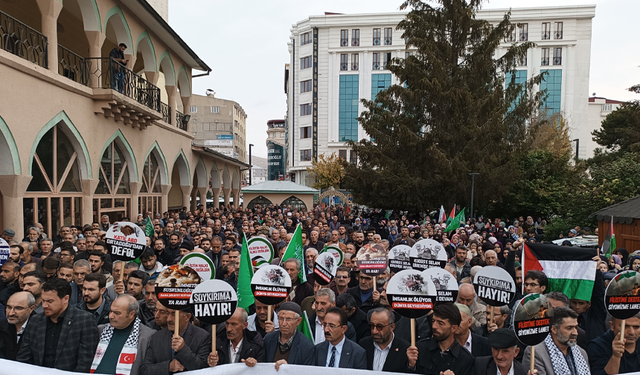 Van’da yürüyüş ve miting düzenlenecek