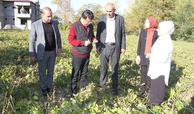 Türkmenoğlu kadın kooperatiflerini ziyaret etti