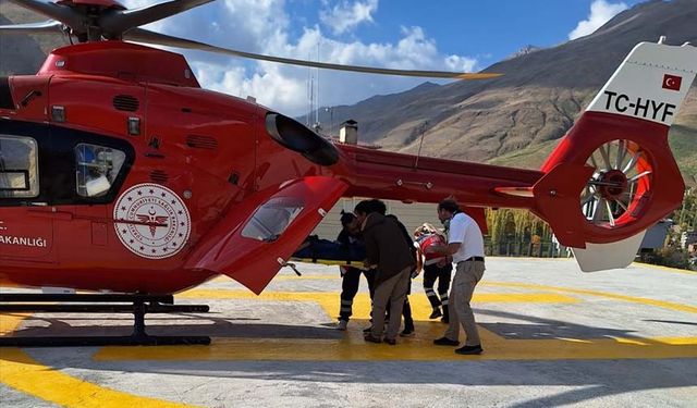 Van'da ambulans helikopter hamile kadın için havalandı