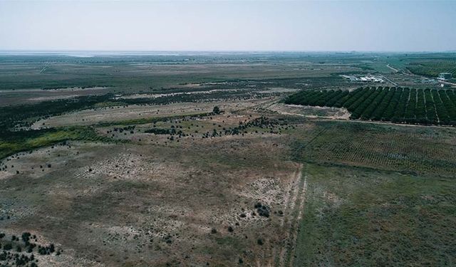 Hazine arazileri yatırımların teşviki için kullandırılacak