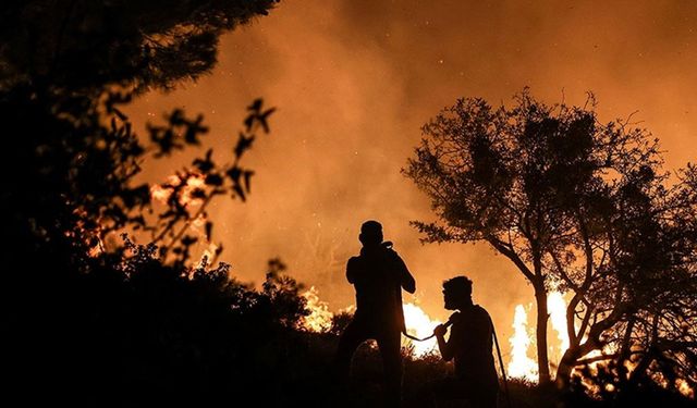 Yılın ilk 9 ayında 2 bin 197 orman yangınına müdahale edildi