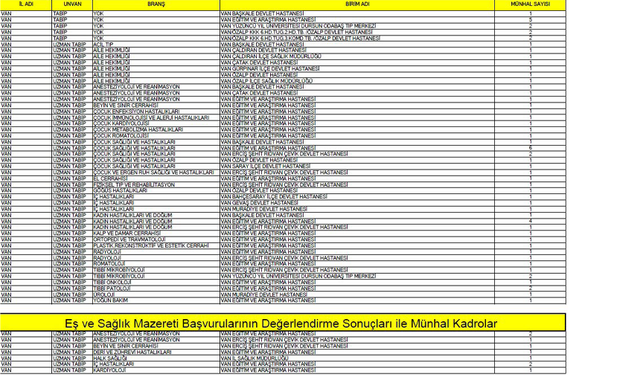 Van'a çok sayıda hekim kadrosu tahsis edildi