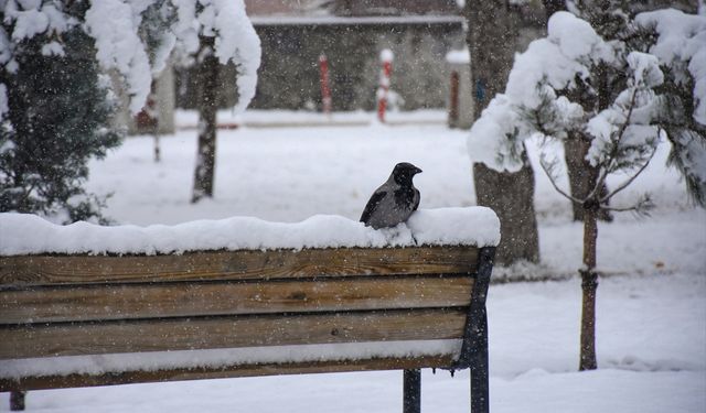 Iğdır’da bazı okullarda eğitime 1 gün ara verildi