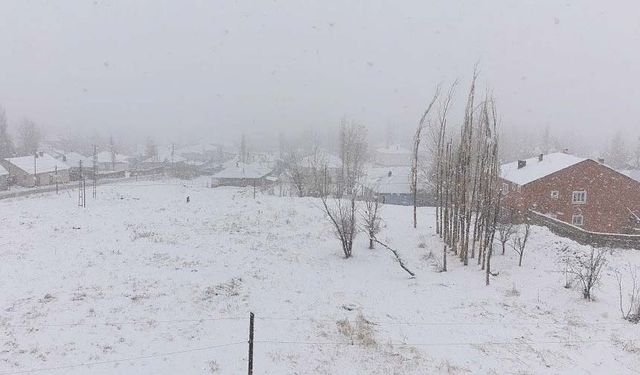 Van'da 7 yerleşim yerinin yolu ulaşıma kapandı