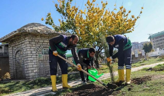 Van’daki 13 mezarlık alanına 3 bin 400 ağacın dikimine başlandı