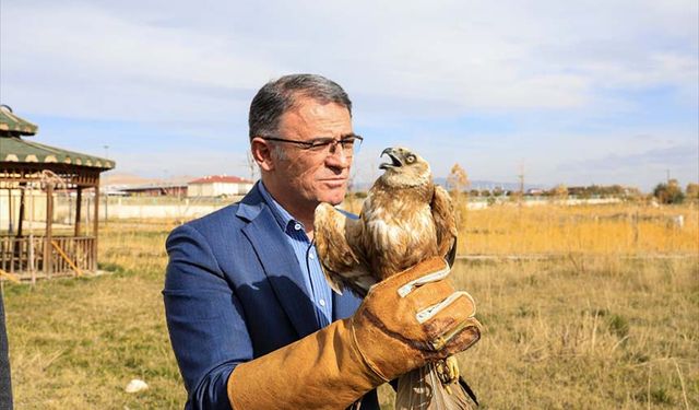 Vali Balcı, tedavisi tamamlanan kuşu doğaya saldı