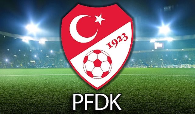 PFDK'dan Van Spor'a para cezası!