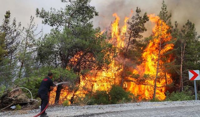 Bu yıl orman yangınlarının yüzde 80'i bu yüzden çıktı