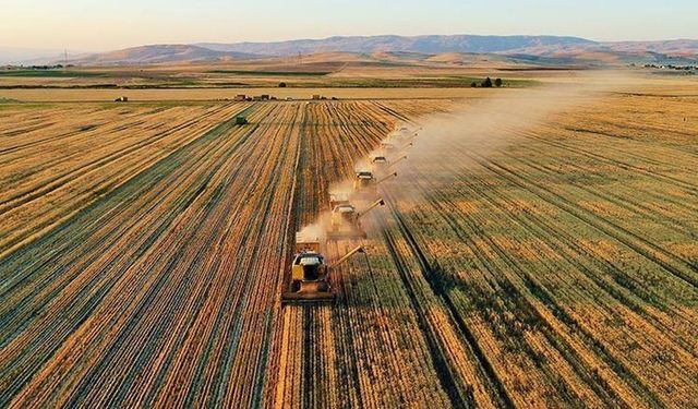 Tarımda üretim planlaması gelecek yıl hayata geçirilecek