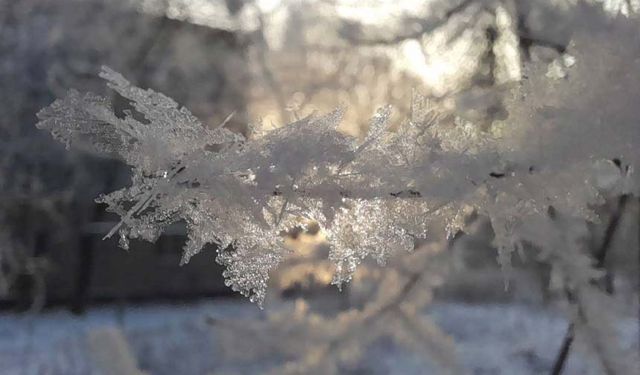 Meteorolojiden Van için buzlanma, don ve çığ uyarısı