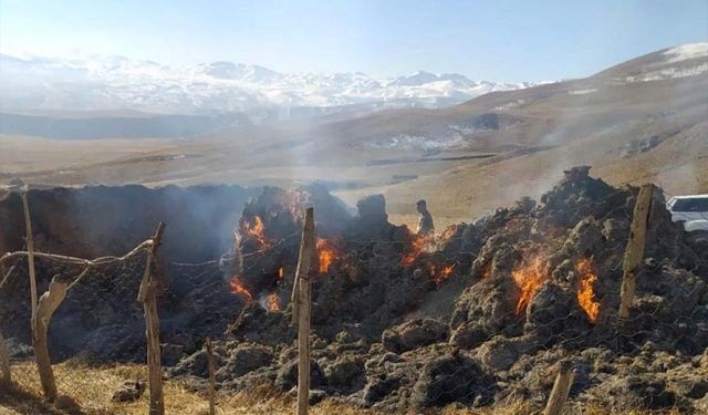 Van'da ot yangını 3 bin 500 bağ ot kül oldu