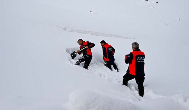 Van'da 16 kişilik teknik ekip bölgede çığ tehlikesi olan yerleri belirliyor