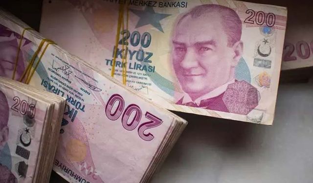 Merkez Bankası'ndan 200 TL adımı