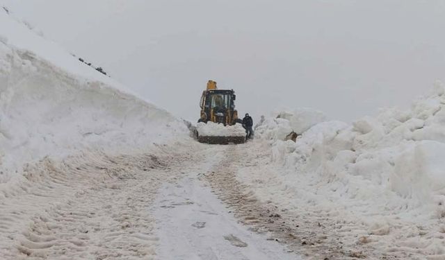 Van’da kar yağışı etkili oldu! 451 yerleşim yerinin yolu kapandı