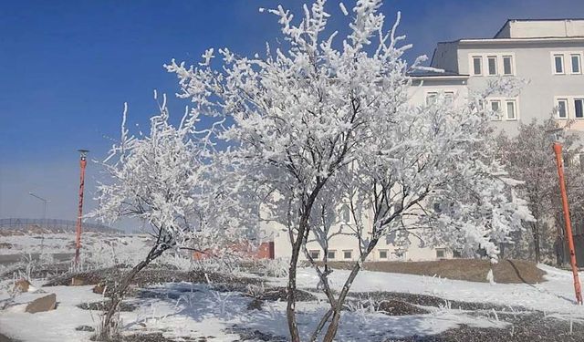 Çaldıran'da hayat buz kesti