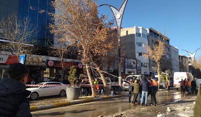 Van'da devrilen ağaç trafiği aksattı