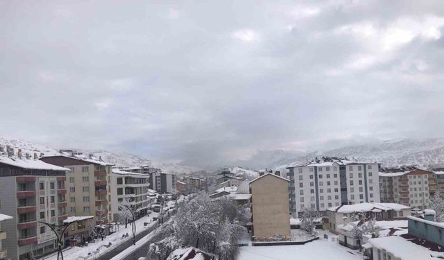 Hizan’da araçlar kara gömüldü