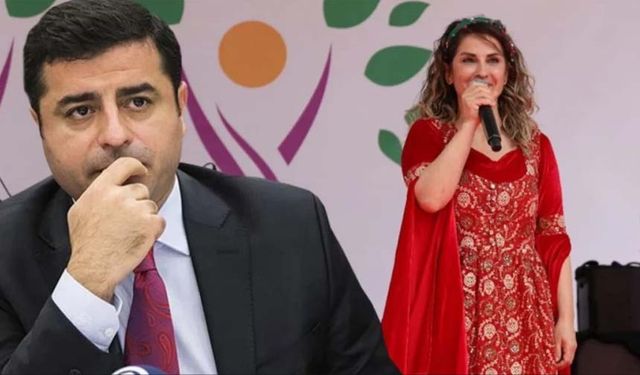 DEM Parti'den 'Başak Demirtaş' açıklaması!