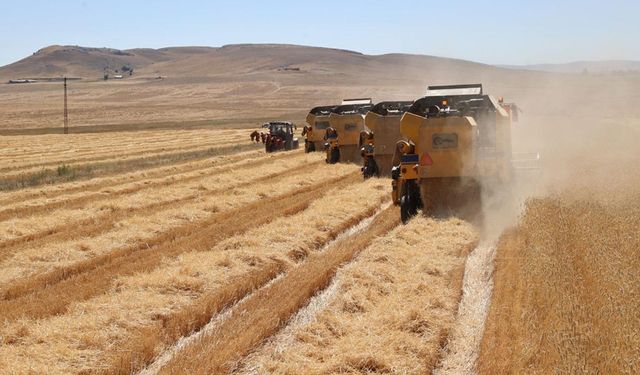 Çiftçilere verilen destek miktarı açıklandı