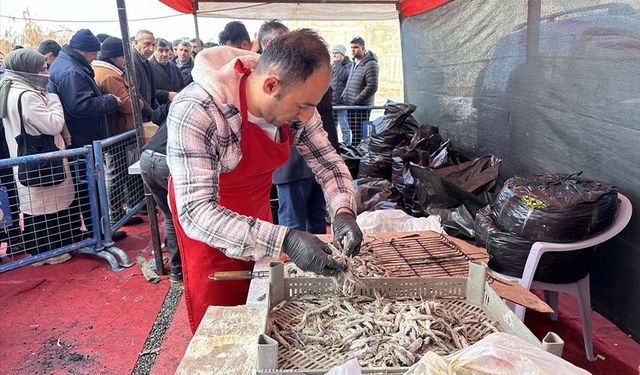 Van'da vatandaşlara 1 ton hamsi dağıtıldı