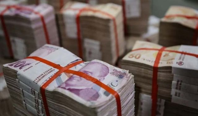 Türk Lirası ile dış ticaret geçen yıl yüzde 73,6 arttı