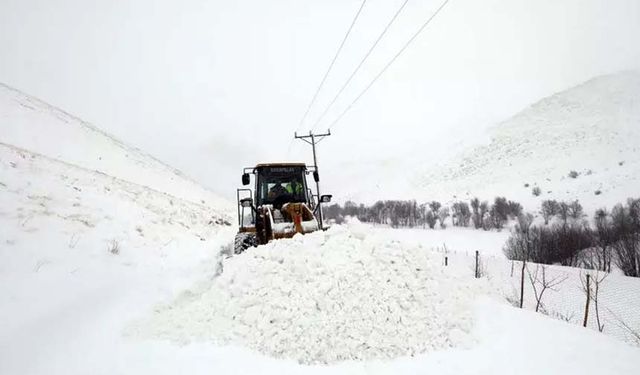 Van'da 61  yerleşim yerinin yolu ulaşıma kapalı