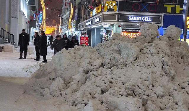 Van'da kardan kapanan 451 yerleşim yeri yolunun 148'i açıldı