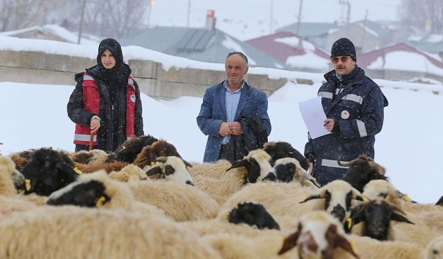 Van'da ağır kış koşullarında bile hayvanların tedavileri aksatılmıyor