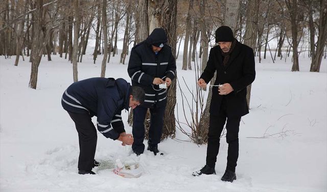 Muradiye'de hayvanlar için doğaya yem bırakıldı