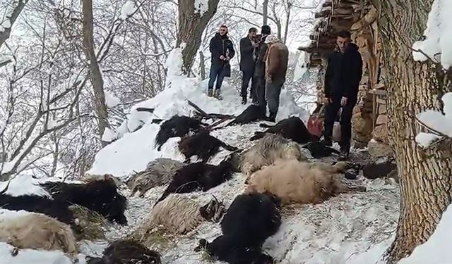 Van'da ağılda çıkan yangında 40 keçi telef oldu