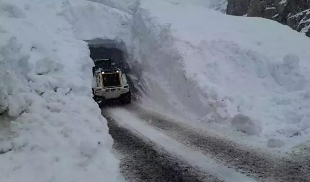 Yüksekova'da çığ düştü: 1 kişi ağır yaralandı