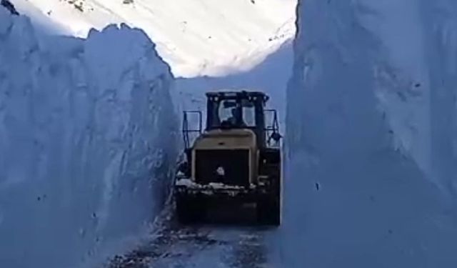 Bahçesaray'da yola düşen çığlar temizleniyor