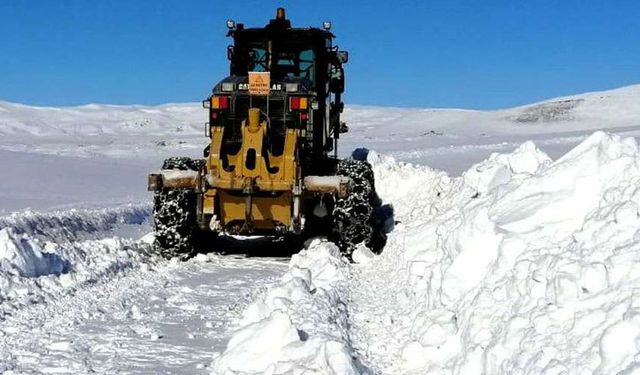 Kar yağışı hayatı olumsuz etkiledi! İşte Van’da kapalı yol sayısı