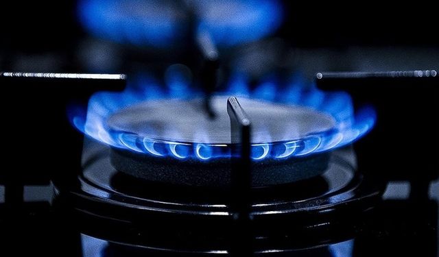 Doğal gaz ithalatı geçen yıl aralıkta yüzde 4,4 arttı