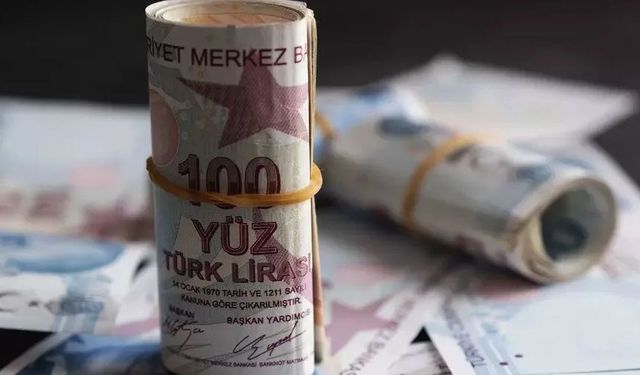 Kredi desteğinde detaylar belli oldu! İşte 48 ay vadeli geri ödemesiz kredi başvuru tarihi