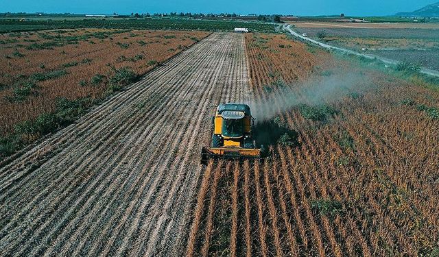 Tarım ve Orman Bakanlığı'ndan çiftçiye 50 milyon 900 bin TL destek ödemesi