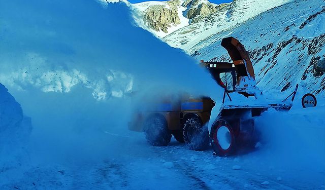 Van'da 264 yerleşim yerinin yolu ulaşıma kapandı