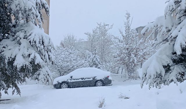 Van'da kar yağışı sonrası flaş uyarı!