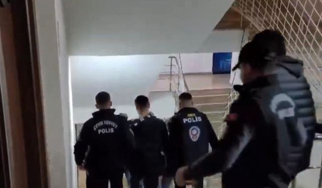 Van dahil 10 ildeki "Sibergöz-22" operasyonunda 14 tutuklama
