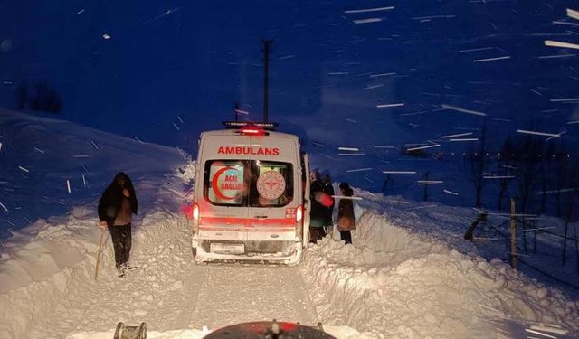 Van’da yol açma ve kurtarma çalışması