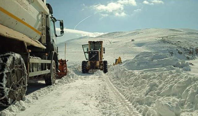 Özalp'te yol açma ve kurtarma çalışması