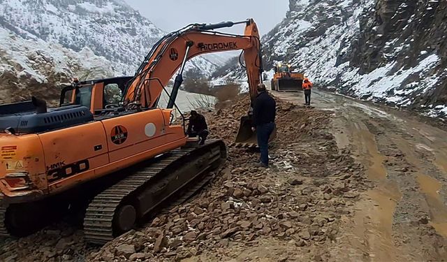 Çığ nedeniyle kapalı olan Çatak-Pervari yolu açıldı