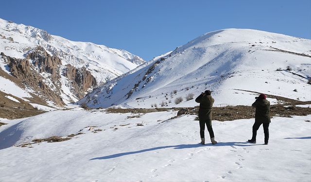 Van Gölü havzasında alınan önlemler sonuç verdi