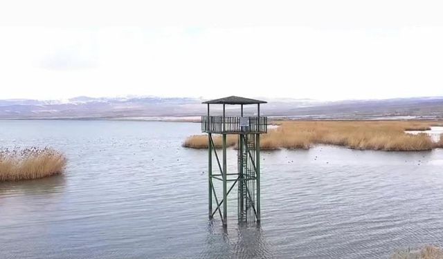 Erçek Gölü su kaybediyor