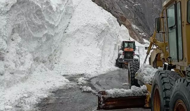 Kar küreme çalışmasında çığ düştü