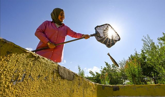 KOSGEB kadın girişimcilere destek verecek