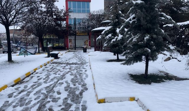 Muradiye'de kar yağışı