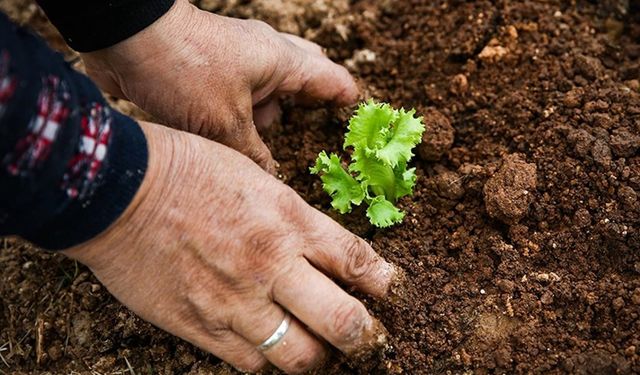 Tarımda Kadın Emeği Zirvesi yarın başlayacak