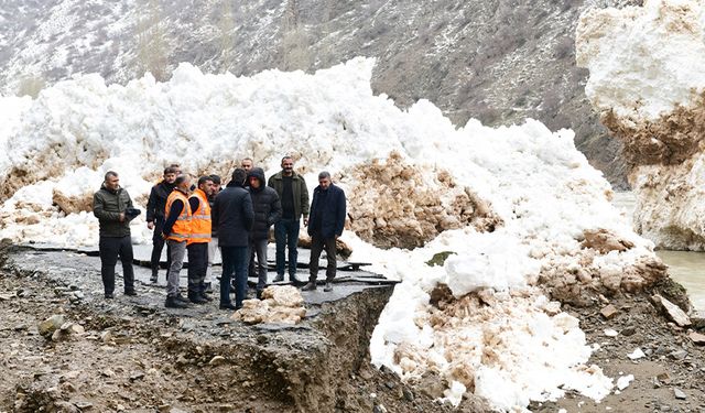 Karayolları hızlı müdahale etti! Van-Çatak kara yolu açıldı